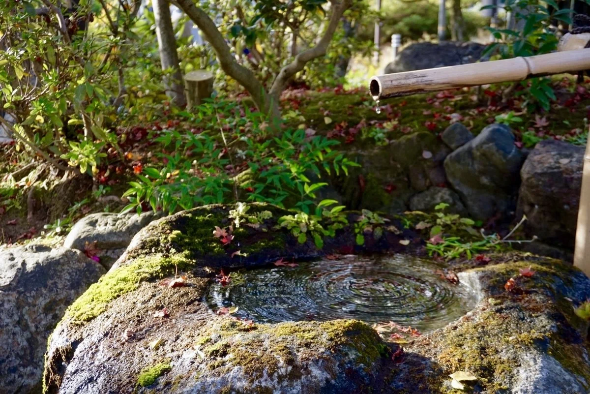 画像33