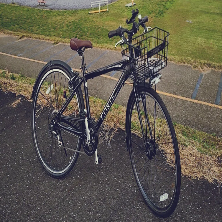 自転車を買いました。 ～第56話 パラグライダーで墜落 そして入院 