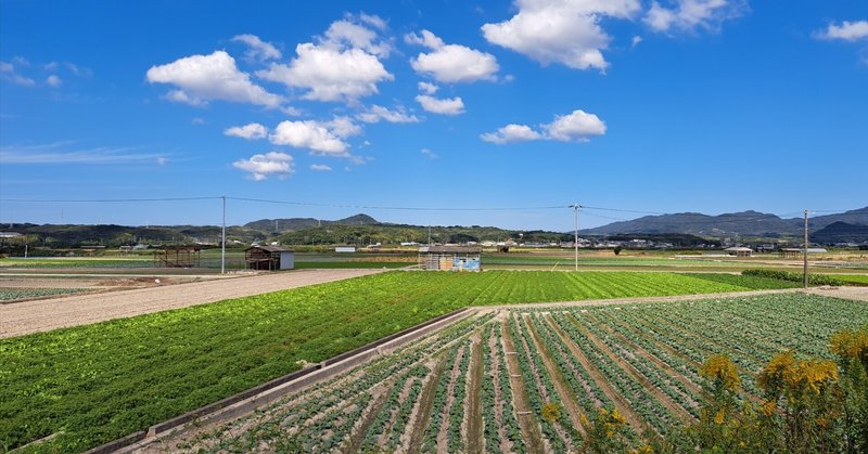 のどかな田園風景の絵画 油彩 （田園風景」の人気タグ記事一覧