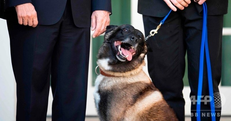 英雄犬 コナン の表彰式に見るトランプ大統領の危機管理 Niena Hino 日野 江都子 Ny在住 国際イメージ コンサルタント Note