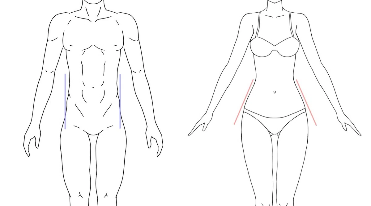 腰とウエスト