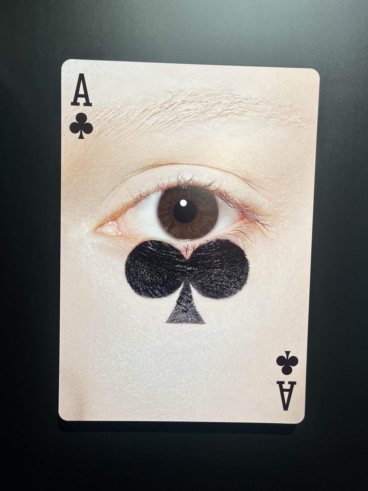 吉田ユニ展ポスター２種 1gJ7OFXTZ7YgGHFoiR2B.jpg?w=940