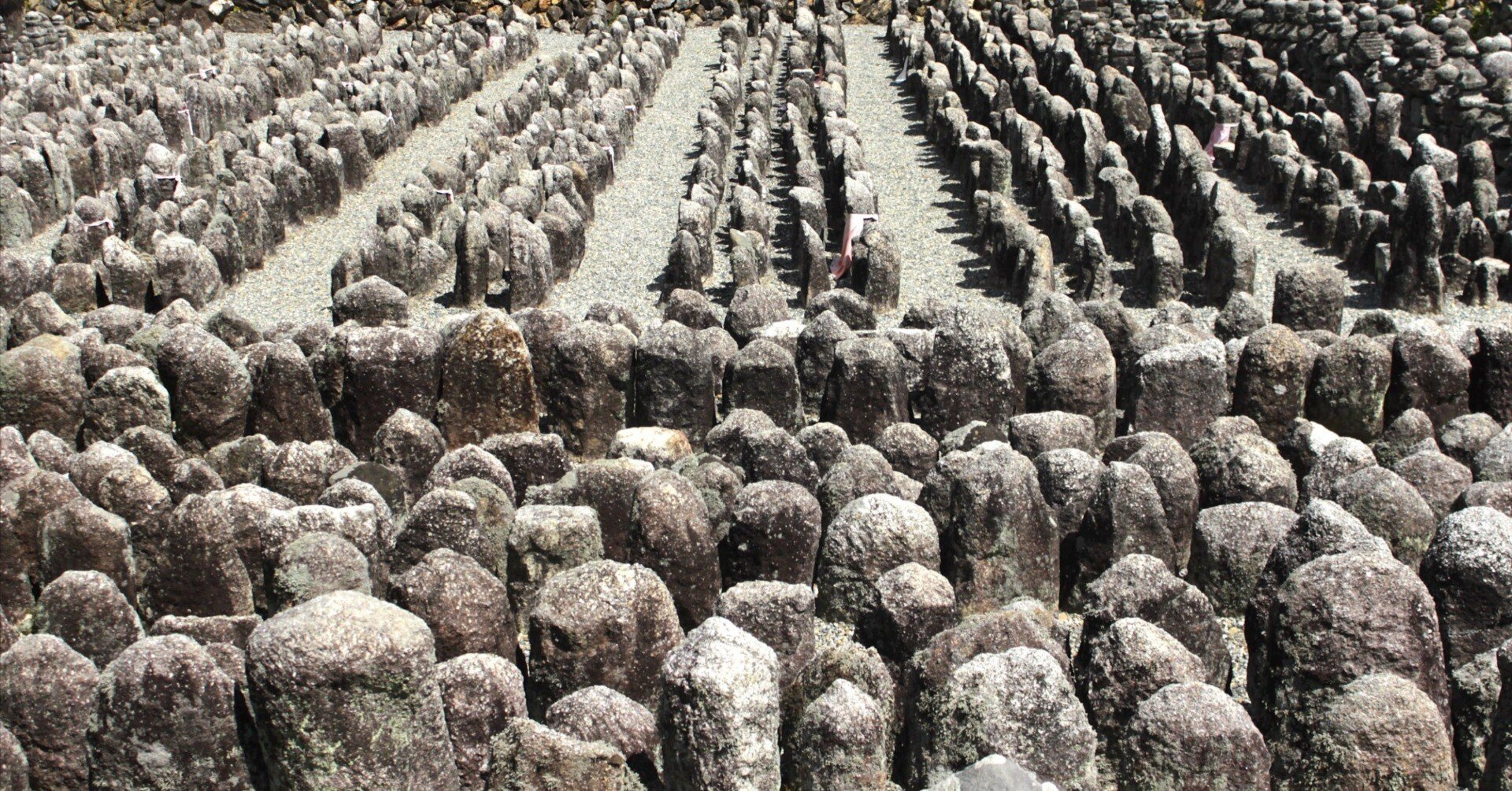 e9c61d66547131f702559b19d11384