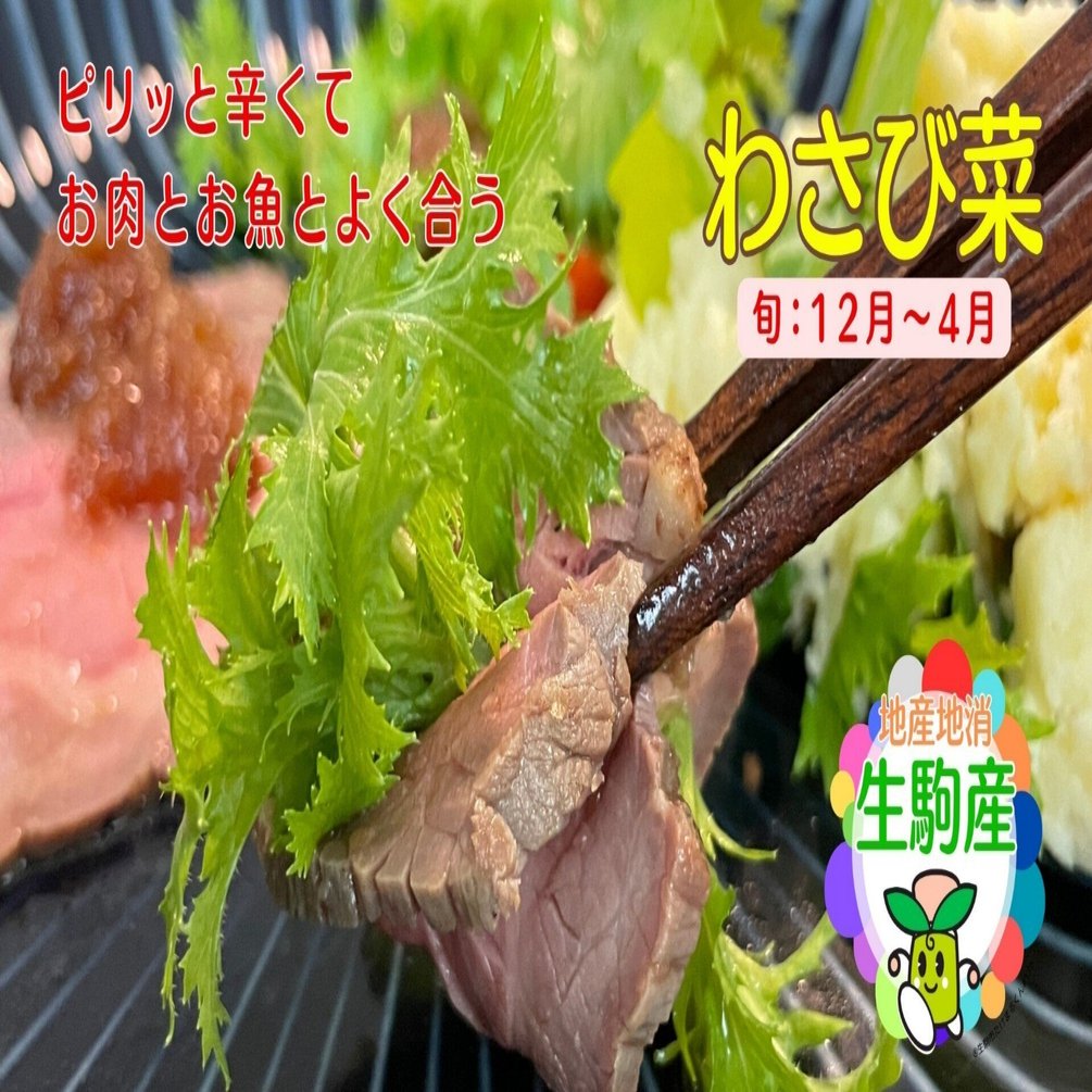 はなこそば！　本ワサビ　野菜　農家直送　 生わさび wasabi_022.jpg