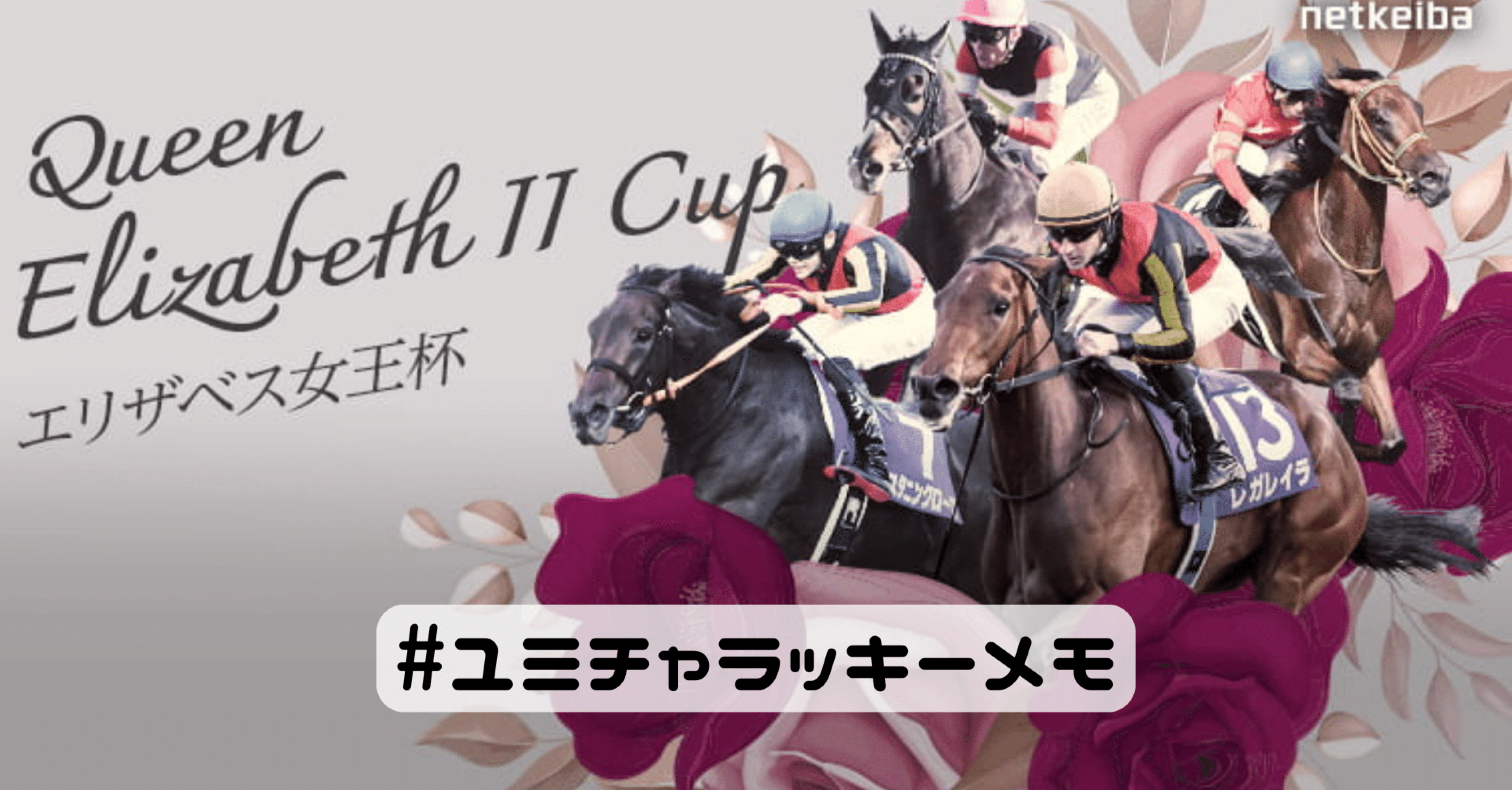 2024年 エリザベス女王杯 ブレイディヴェーグ ポスター 2024エリザベス女王杯ポスター｜日本サイン競馬会