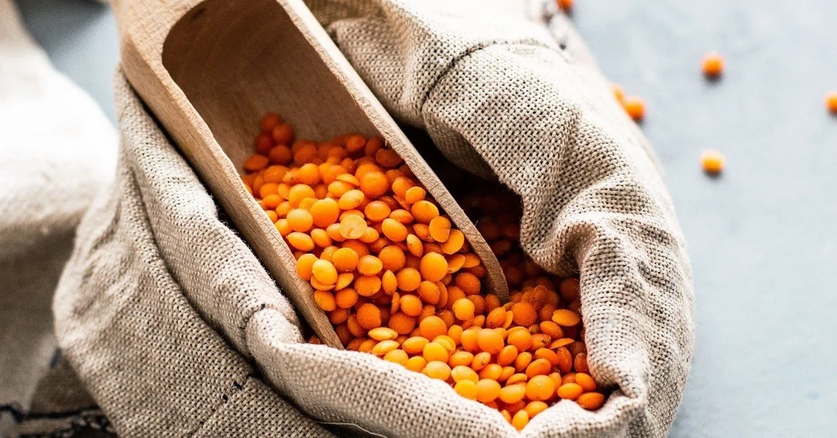 [Plant-Based Diet] Where Do You Get Your Protein?｜Marie