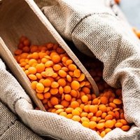 歌詞和訳 So Long And Thanks For All The Fish By A Perfect Circle Marie Note