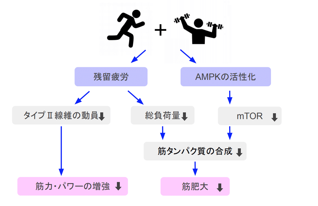 スクリーンショット 2019-11-26 12.47.59