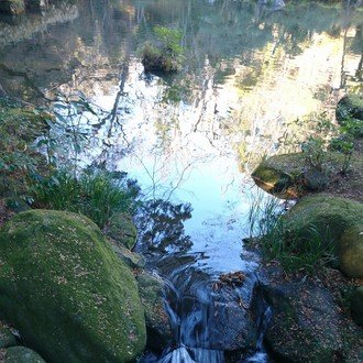 ランキングおじさん