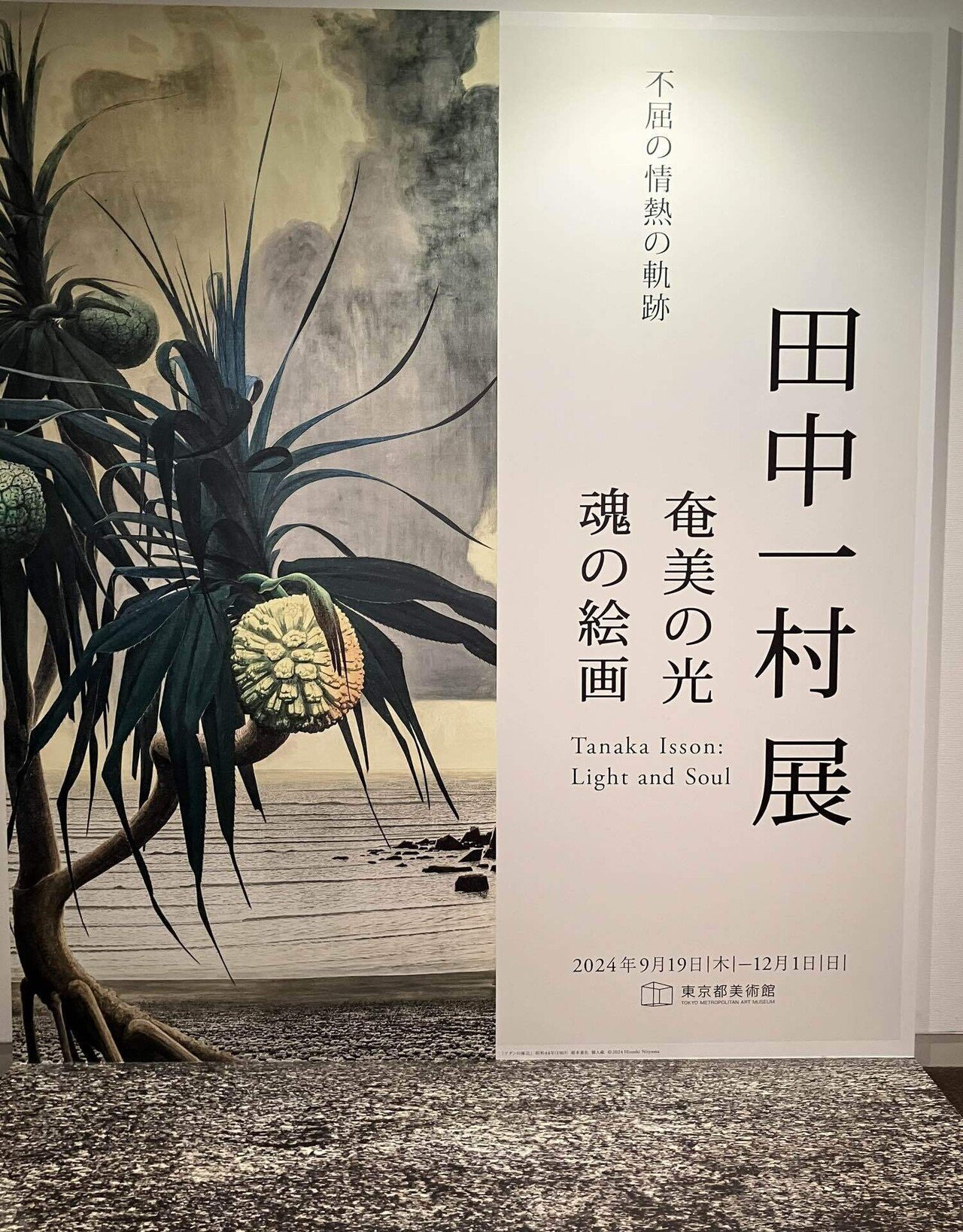 田中一村展で、遠き若き日の画家志望の友を偲ぶ｜Eijyo