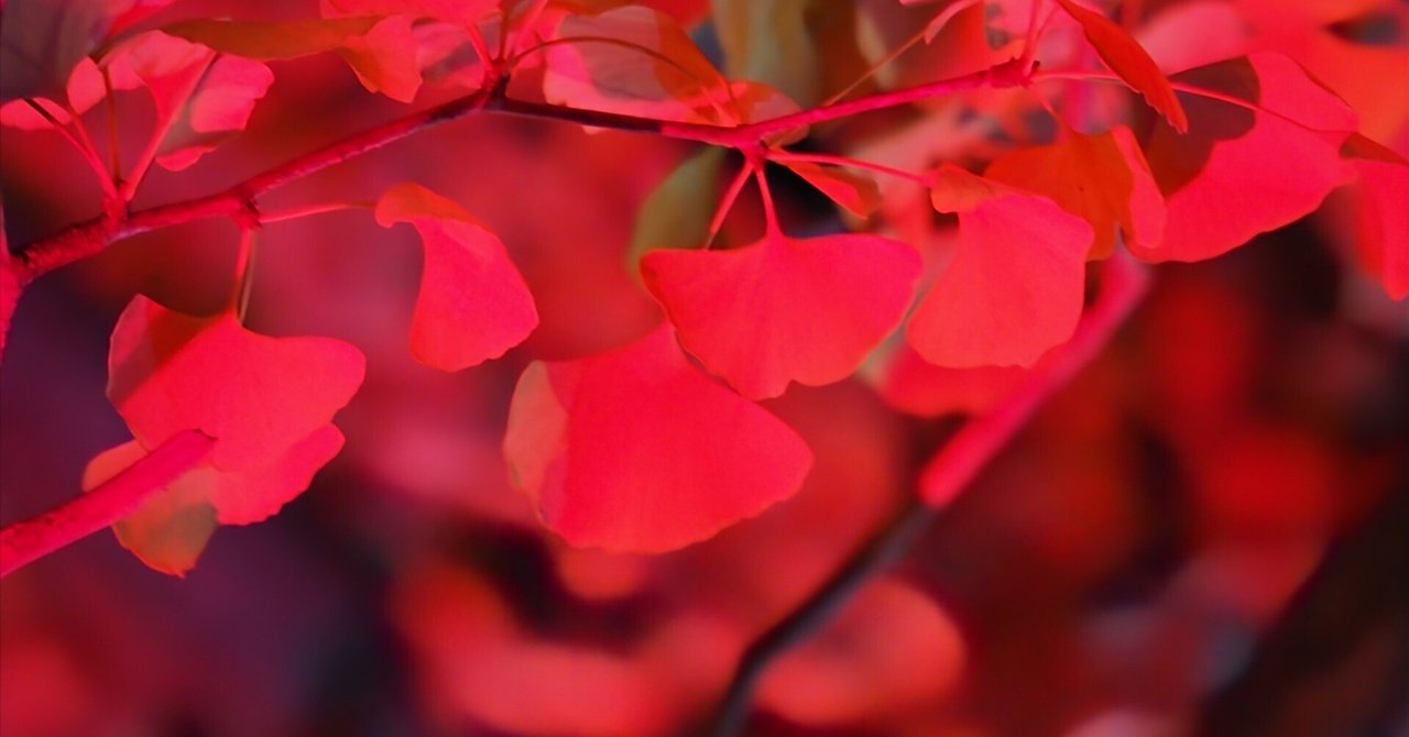 落ち着かないお天気は体に悪い|くりす