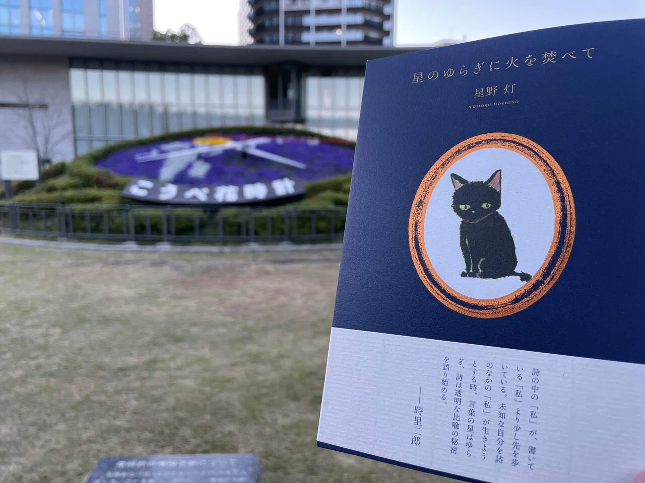 黒猫日記】 初詩集と対面のとき｜星野灯