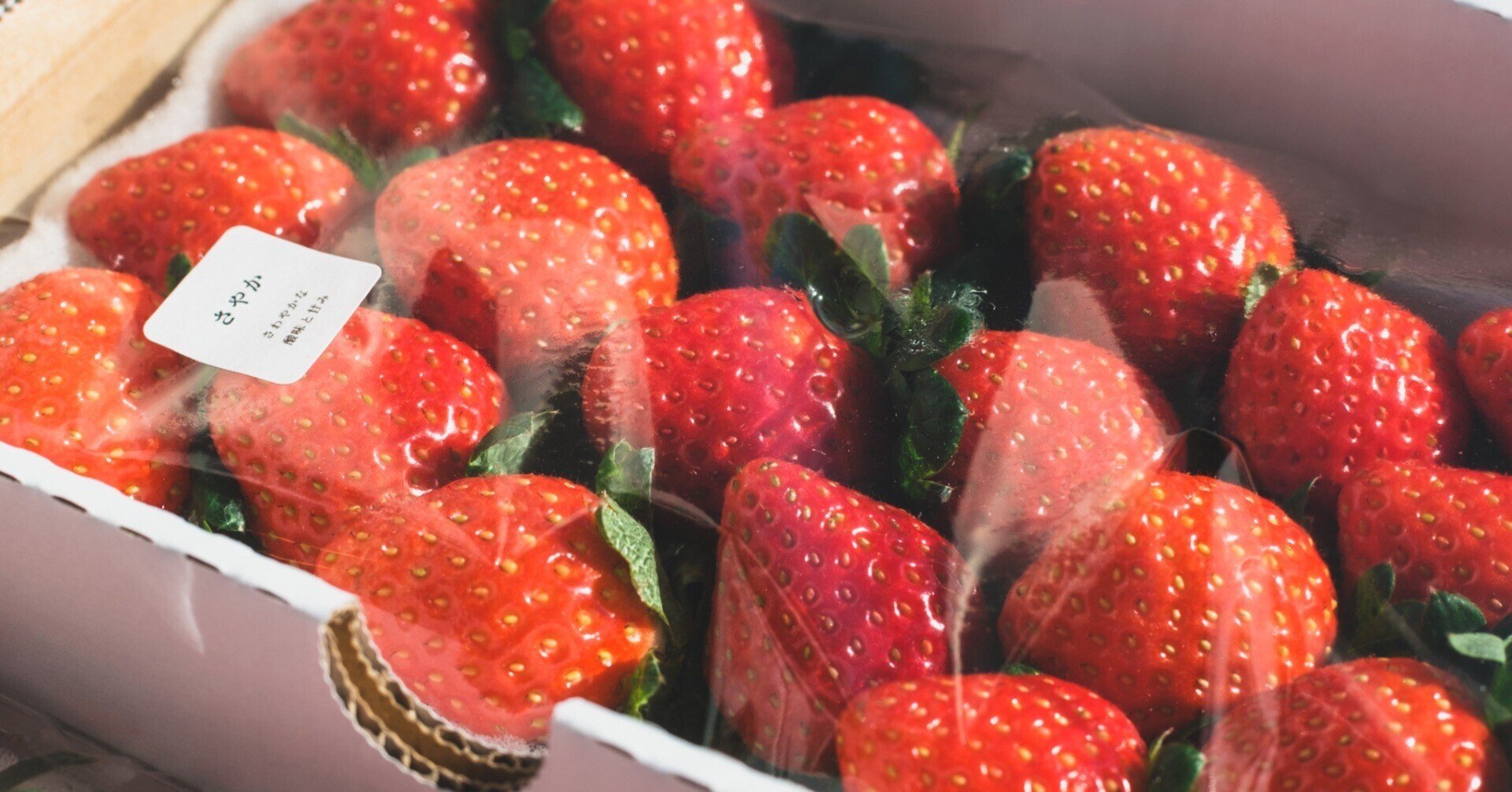 ICHIGOYA ATELIER 2025 新品種をご紹介|苺屋あとりゑ ICHIGOYA ATELIER 2025 新品種をご紹介|苺屋あとりゑ