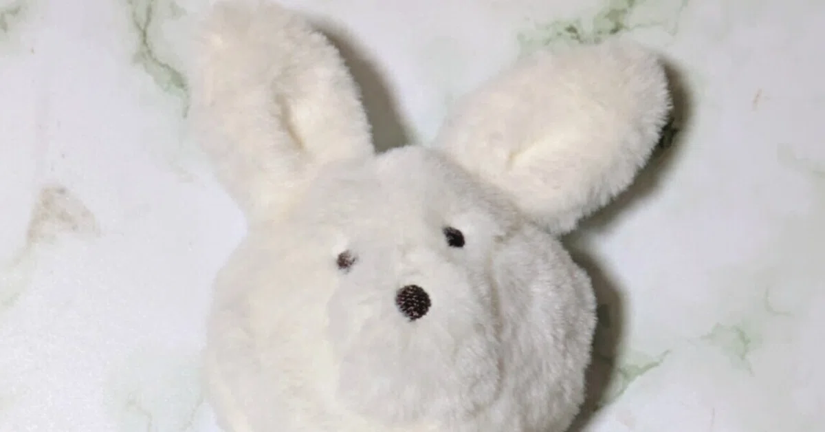 3COINSで買ったうさぎのぬいぐるみが可愛すぎる話｜ひさとろサーモン