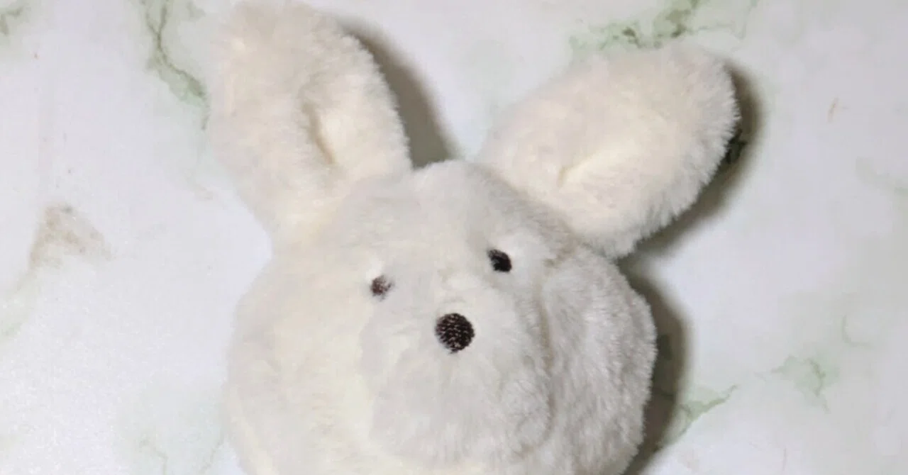 3COINSで買ったうさぎのぬいぐるみが可愛すぎる話｜はらぺこ酒蒸し