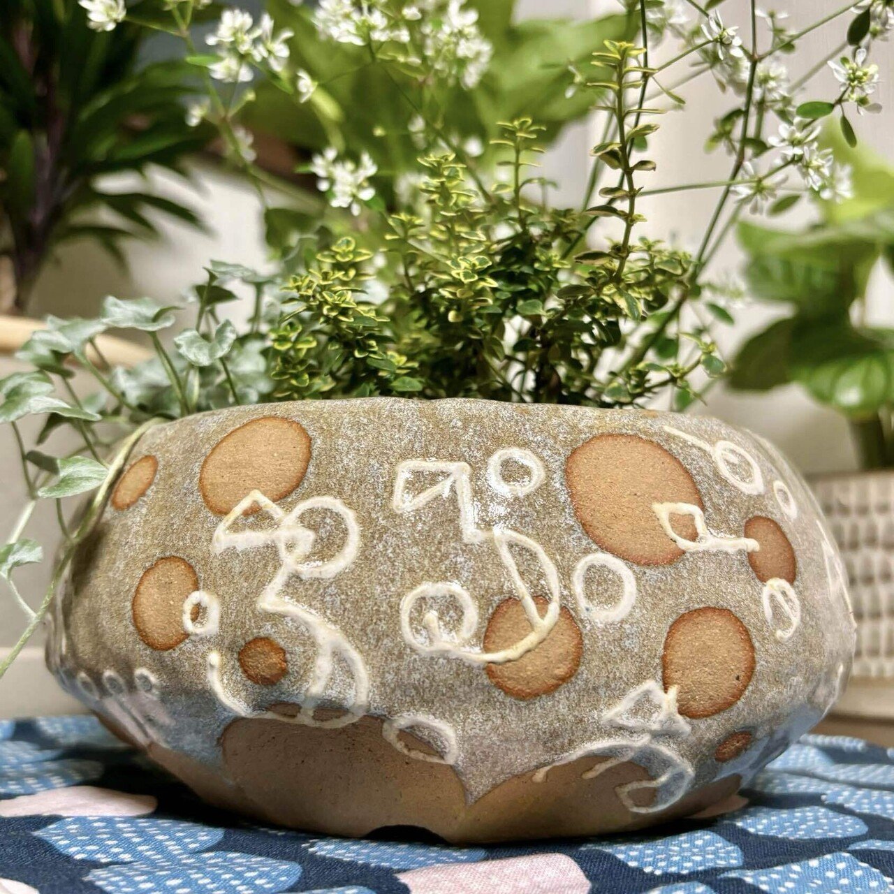 陶芸】『根っこのしゃっくり』の植木鉢｜のぐちあやの