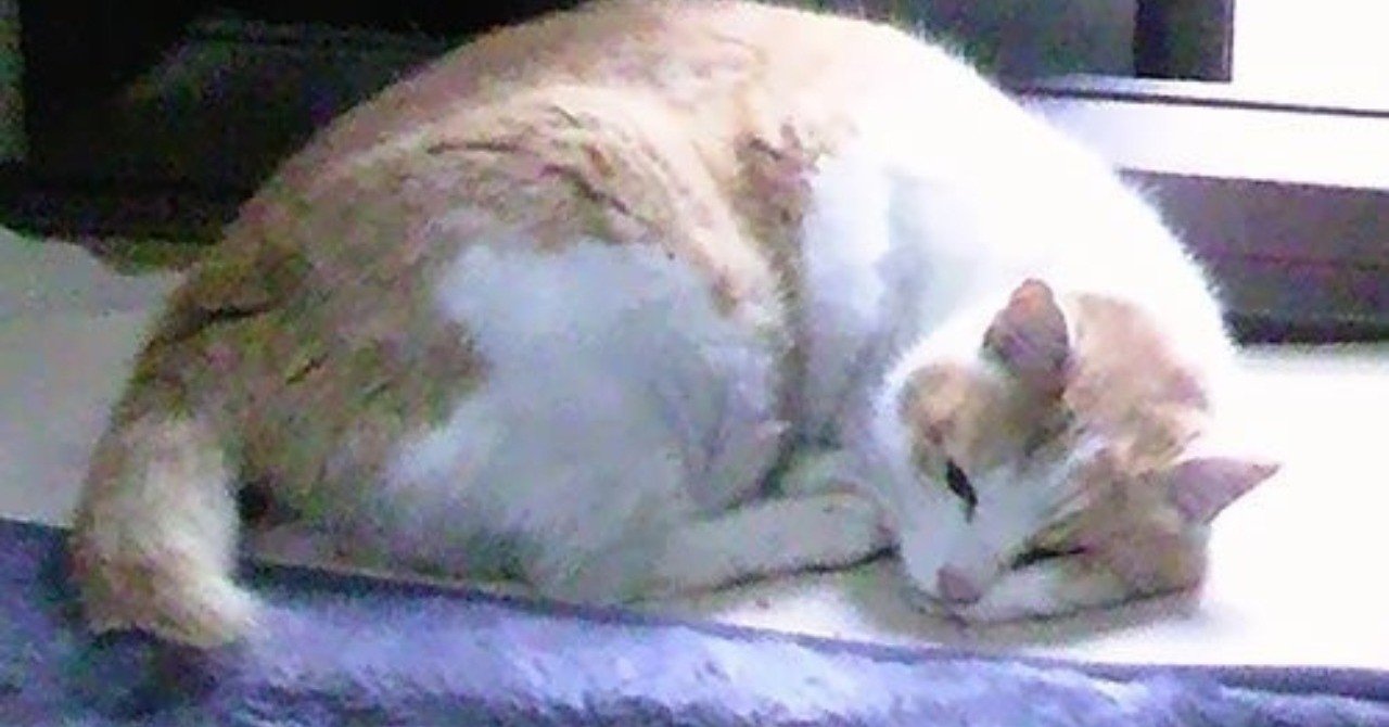 仕事を続けたかった私が休職をして気づいた４つのこと まえゆか 前田有香 Note