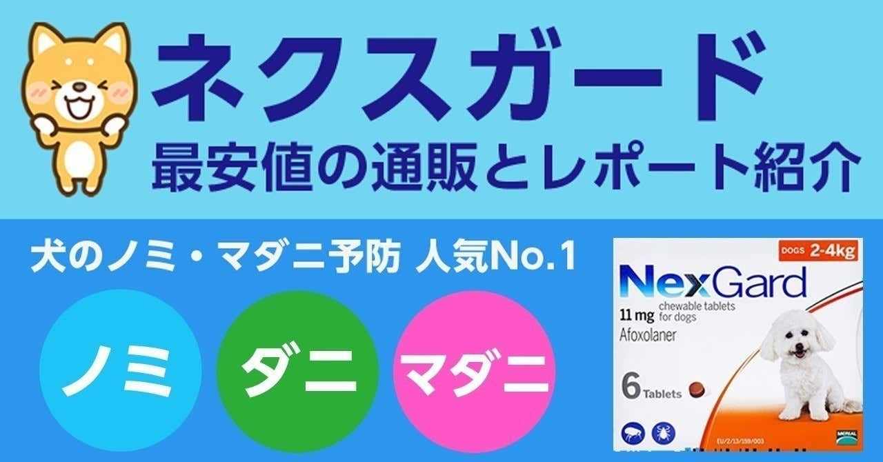 マルチーズ まもるの19年のノート Note