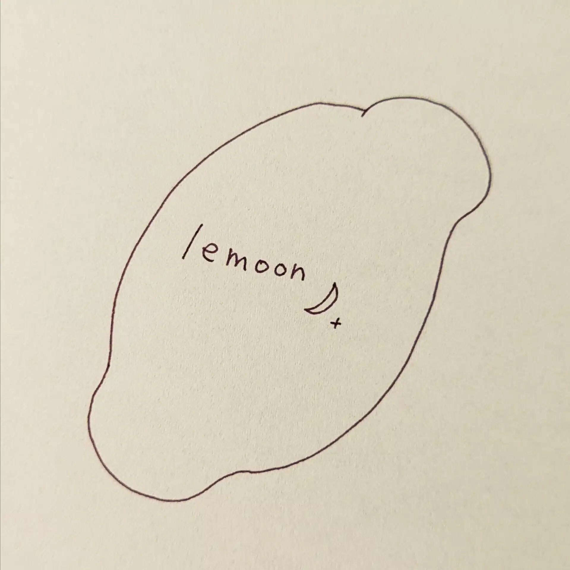 レモン@『書く』を楽しむ日々