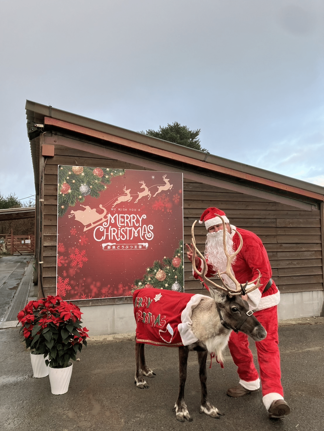トナカイの角の秘密｜那須どうぶつ王国公式note