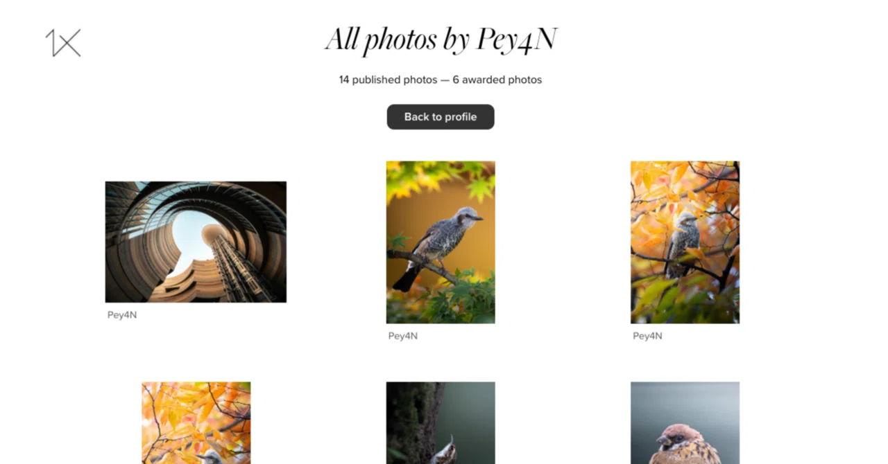 世界最高峰写真サイト「1x」のはじめ方｜ぺーやん/Peyan