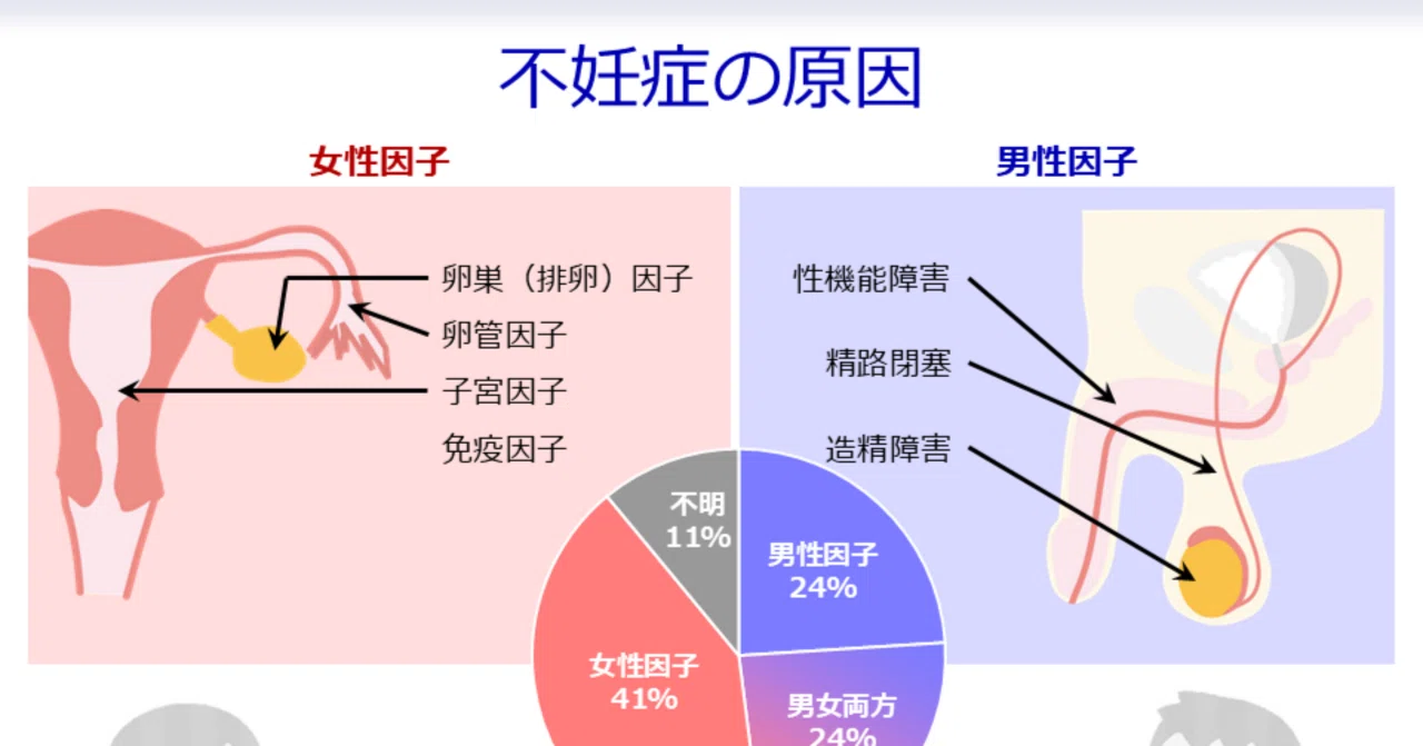 不妊症の原因｜AndroIwasho