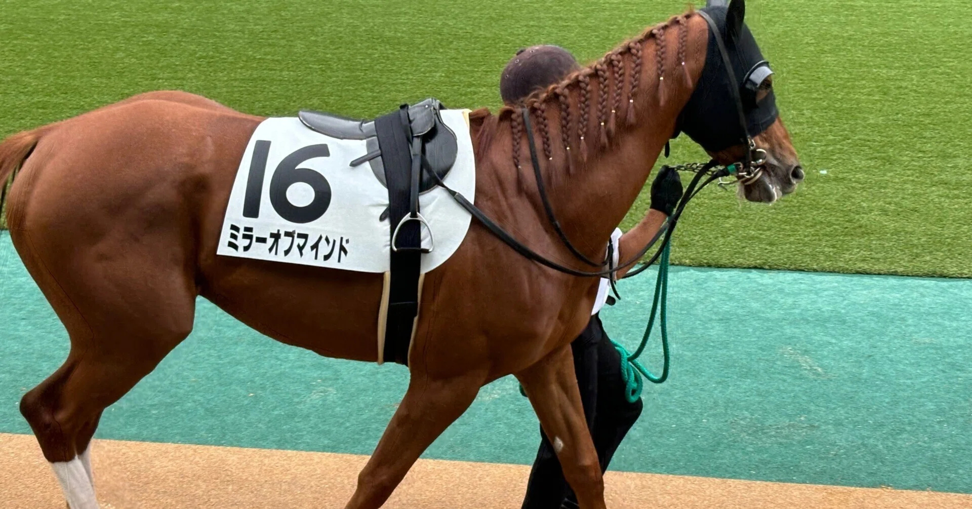 馬名応募（2023年産・キャロット編）｜鶴岡一之介