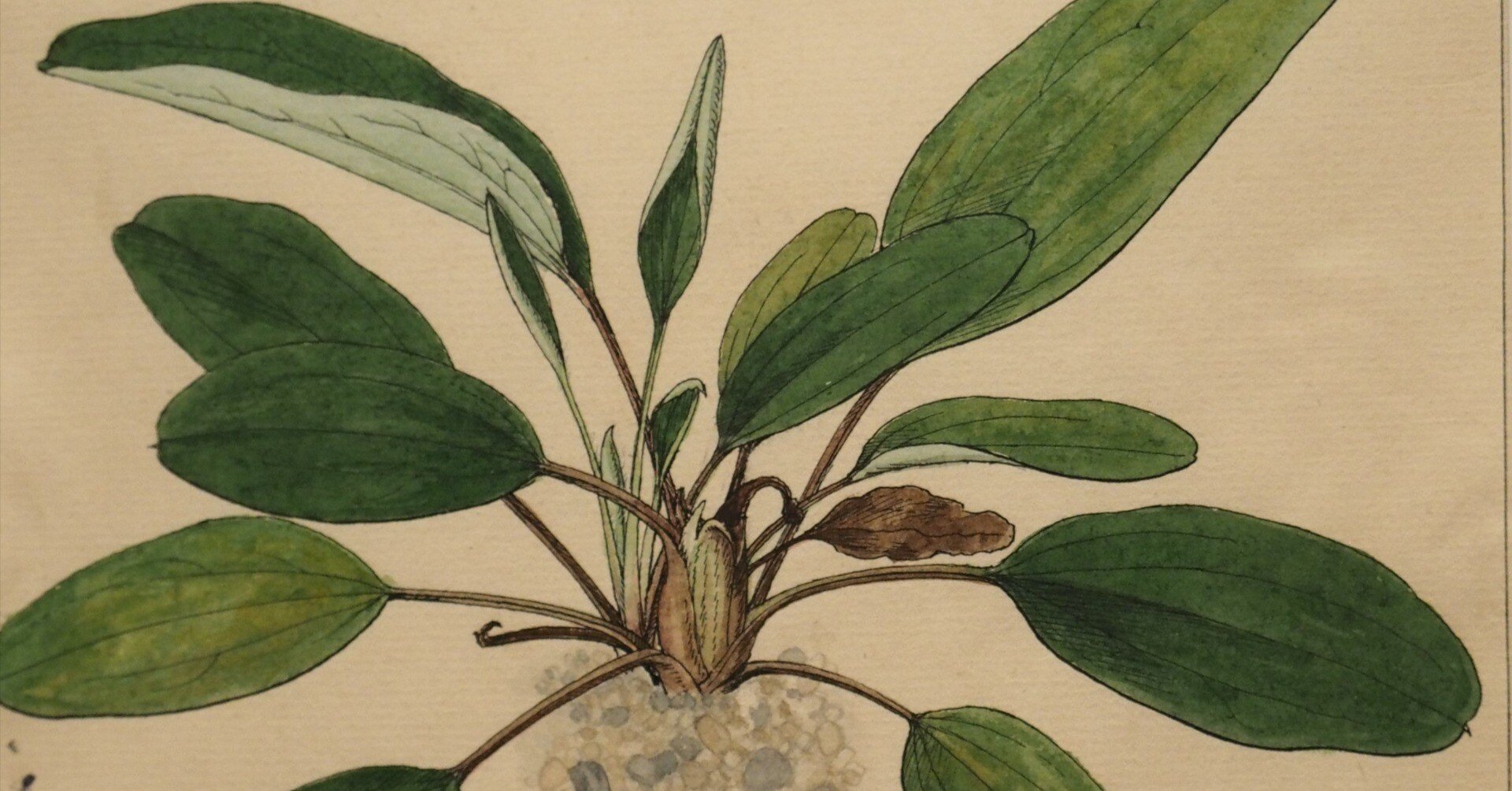 1b9e1565f8627e68648551a1f35ea5