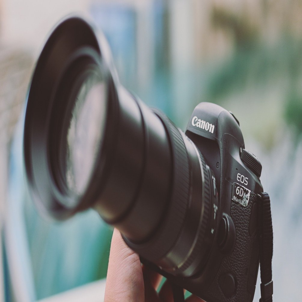 28-300mm】AFのズームレンズと動物園｜もんぶらん