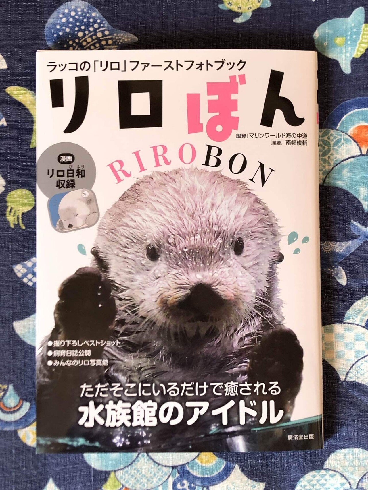 マリンワールド海の中道　ラッコ リロくん　写真集 マリンワールド海の中道 ラッコ リロくん 写真集 - メルカリ