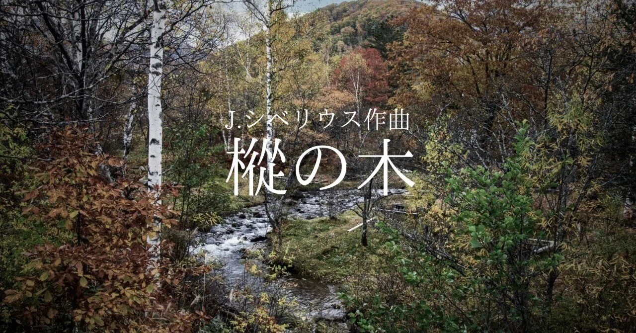 シベリウス：樅の木 Op.75-5｜Naomiy / ピアニスト