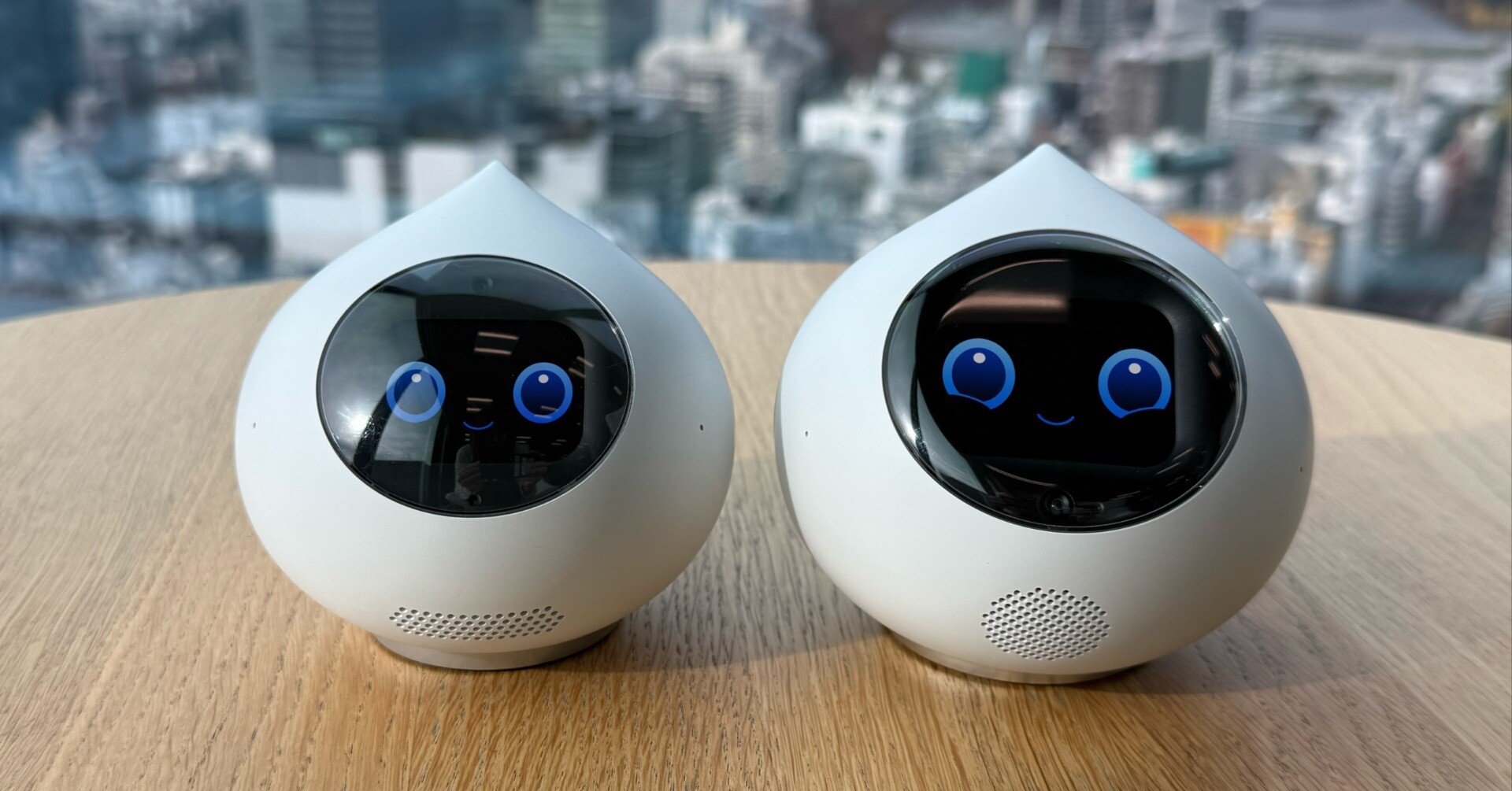 amspnさん専用　ルカ1ラビット　28.0 amspnさん専用 ルカ1ラビット 28.0 amspnさん専用 ルカ1ラビット 28.0