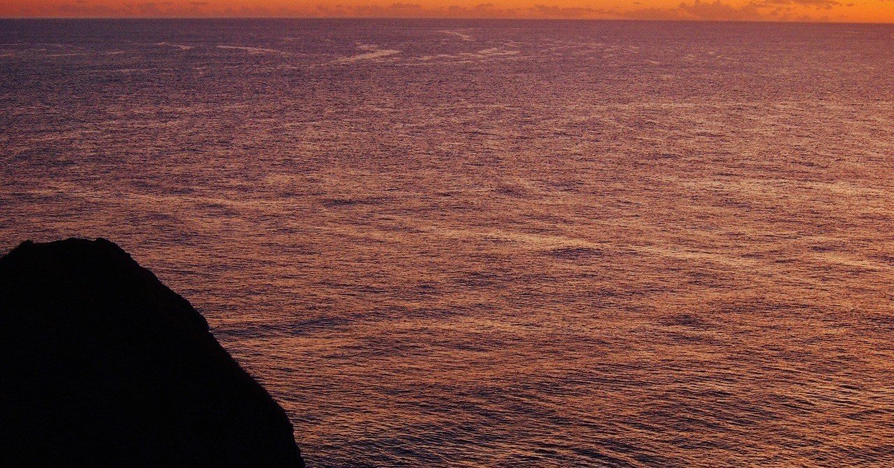 ペットボトルを捨てられない私が 捨てられるようになった アンバサダーラボ amn