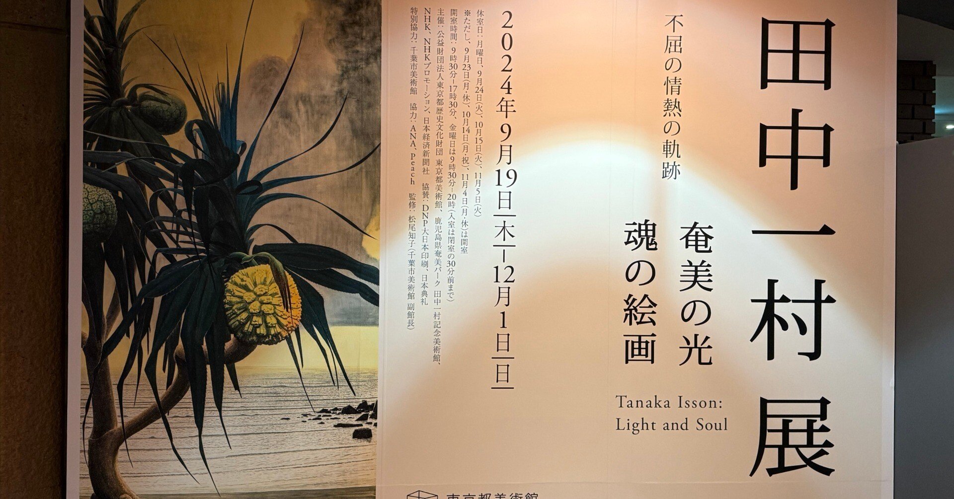 南の島の狂おしい砂礫〜『田中一村展』を見て｜伊藤正宏