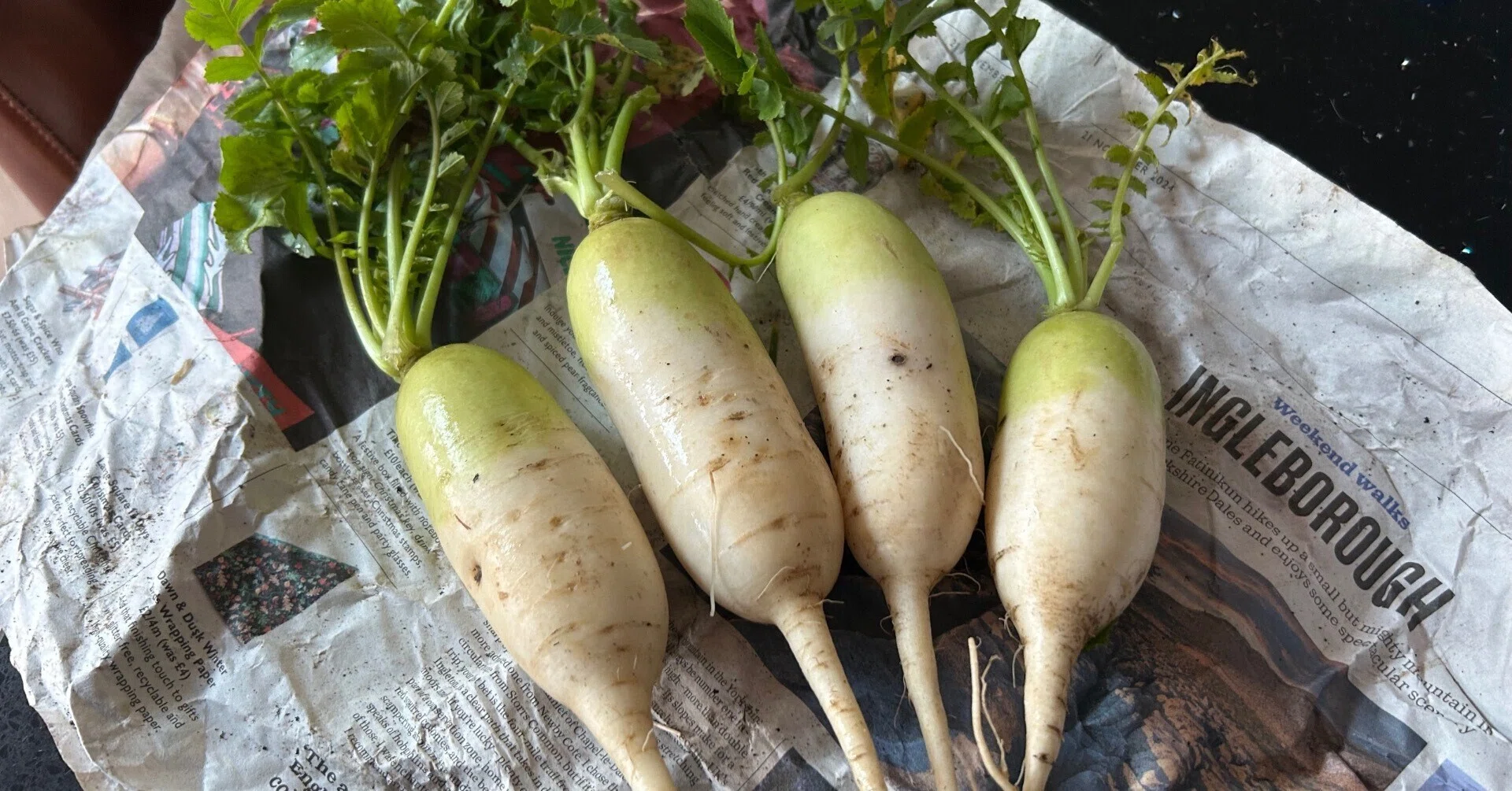 ロンドンで自然農法の日本野菜を入手するには？｜らんみか🇬🇧愛され美