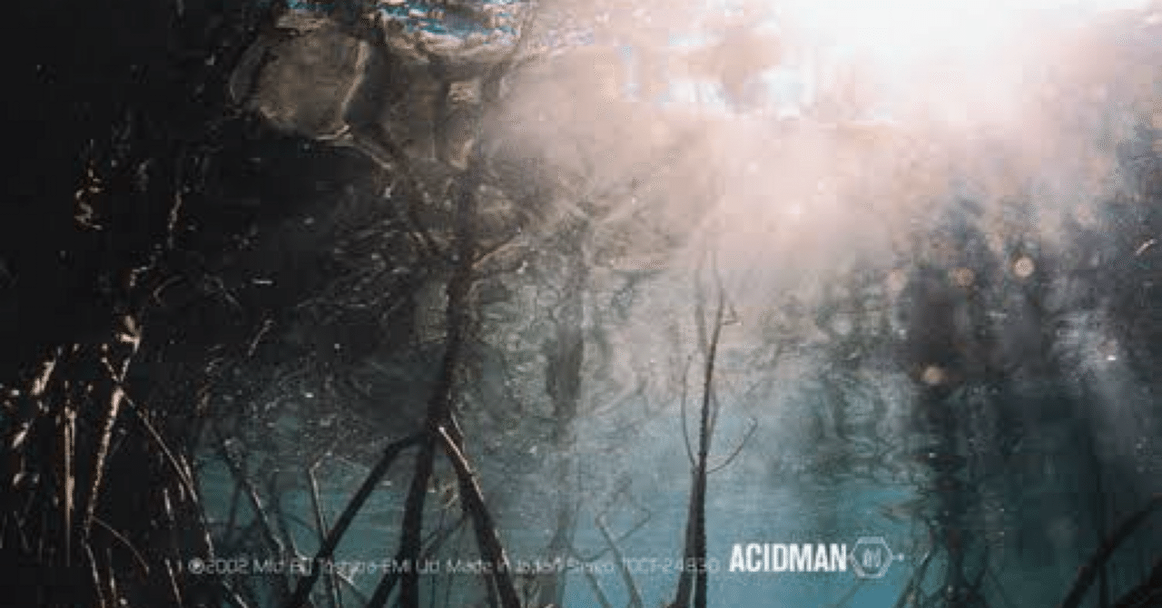 未開封【Acidman】創 完全生産限定/アナログ盤 未使用【Acidman】創 完全生産限定/アナログ盤
