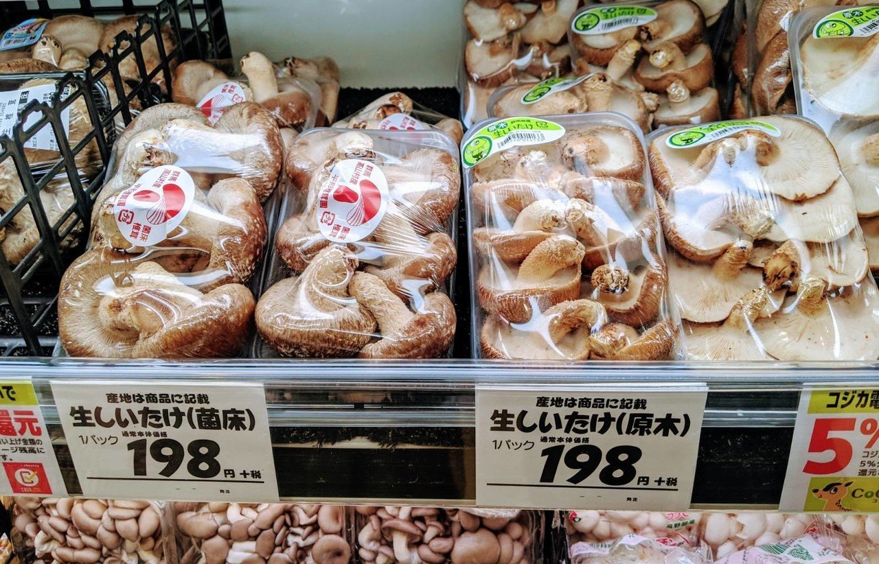 原木椎茸 と 菌床椎茸 の違いとは たけむ Note 原木椎茸 と 菌床椎茸 の違いとは たけむ Note