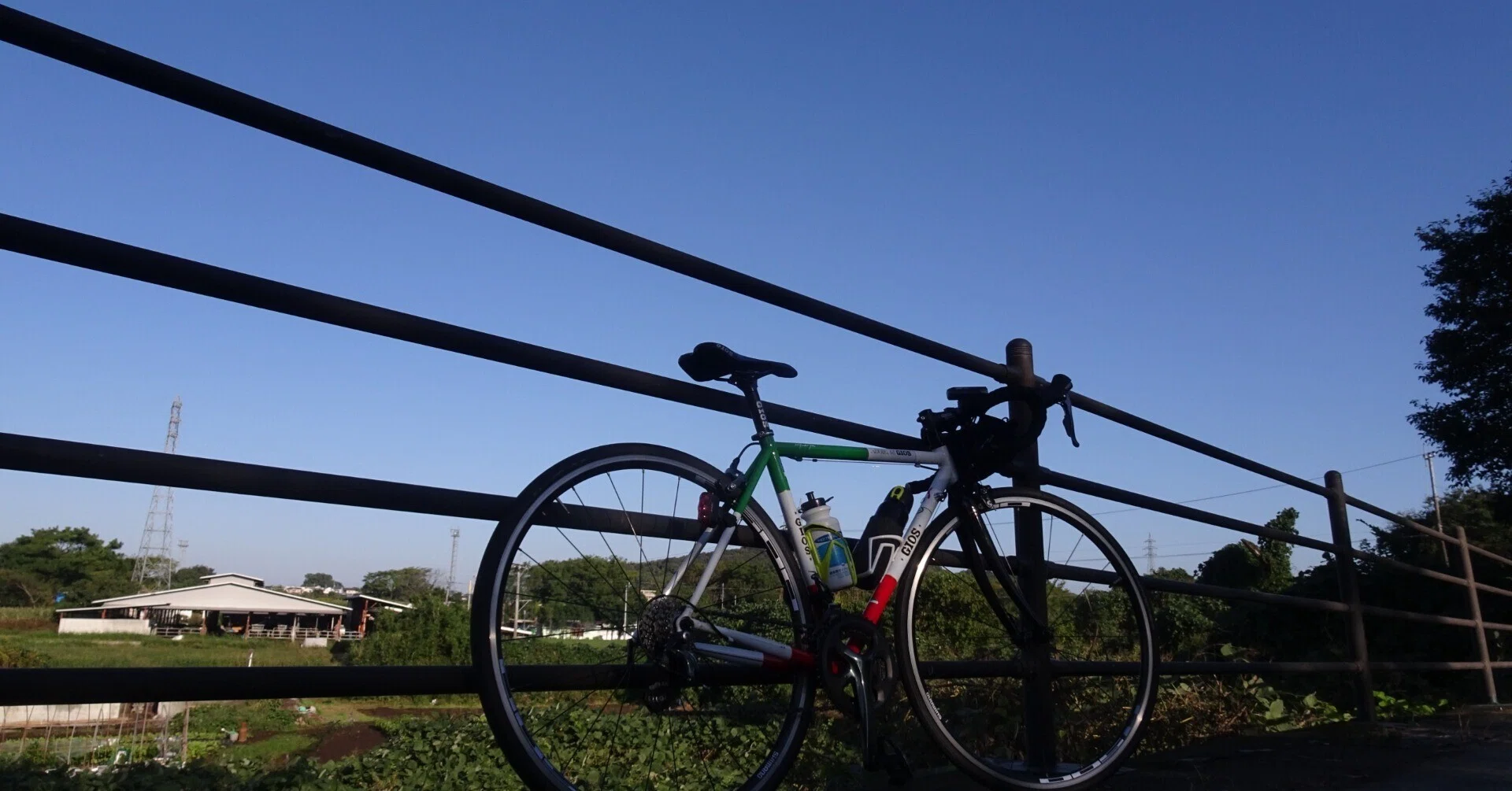 week9】運動ゼロからのトライアスロン ◎自転車の練習編｜あらふぐ
