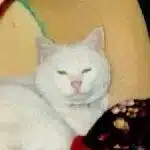 たま
