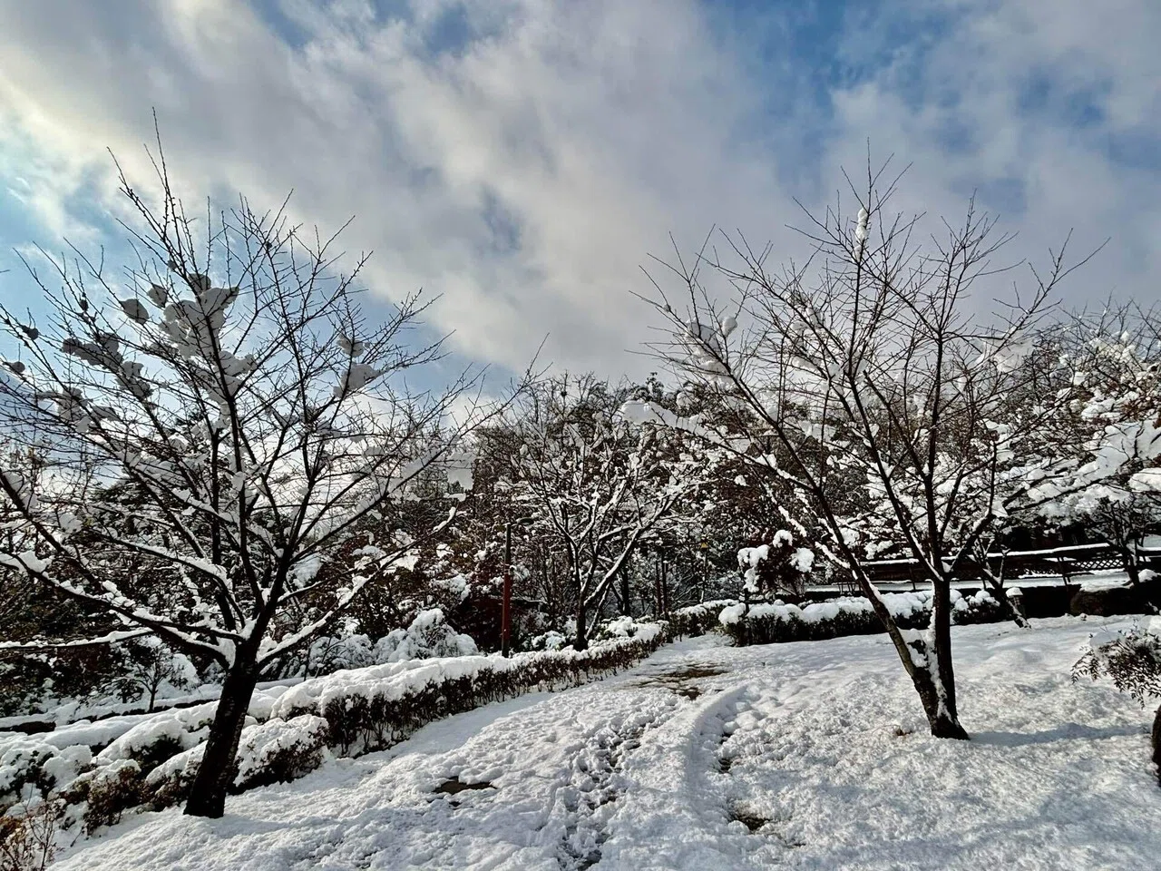 fall magc ing   秋の雪景色 秋の長い夜を抜けると雪国であった。｜LUCIA