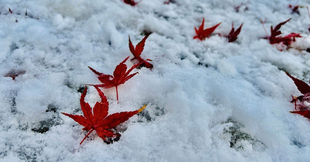 秋の長い夜を抜けると雪国であった。｜LUCIA