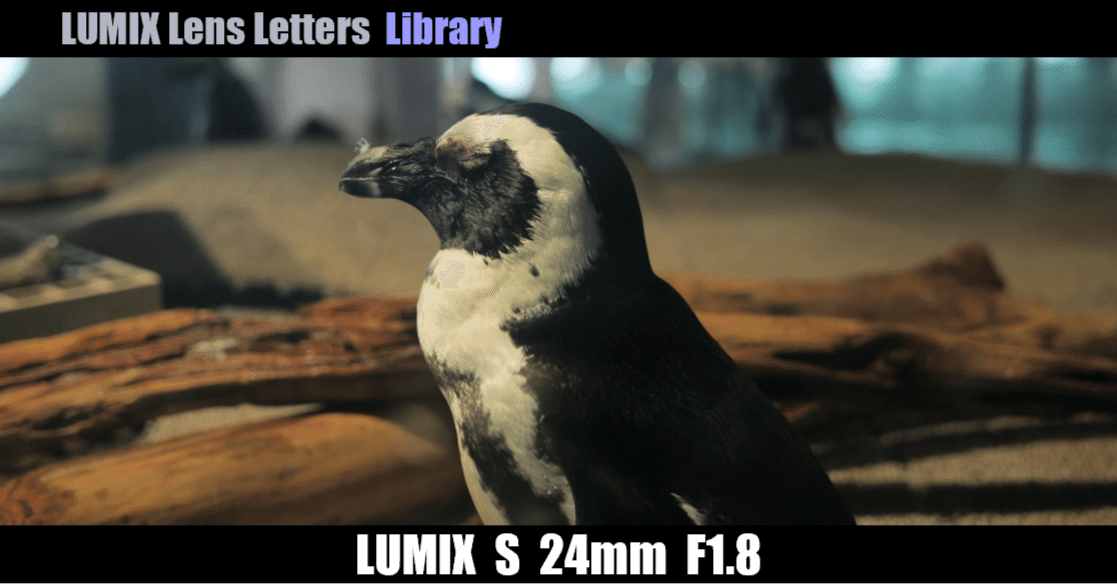 LUMIX S 24mm F1.8【Library】｜LUMIX Lens Letters