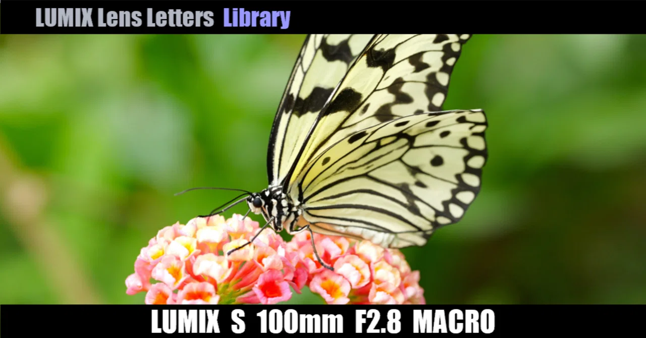 LUMIX S 100mm F2.8 MACRO 【Library】｜LUMIX Lens Letters