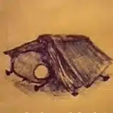 じゃっくどぉ