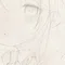 ねこまんま