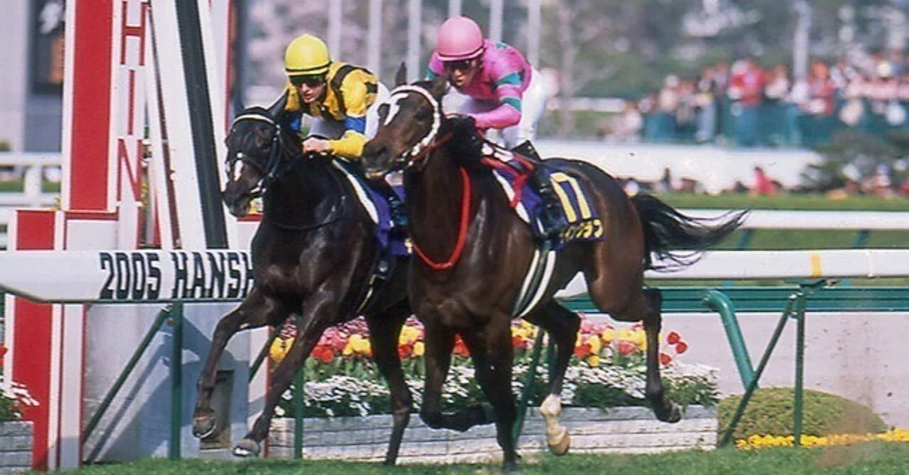 GⅠ阪神ジュベナイルフィリーズ｜タイツ・競馬ライター【無料予想と馬 