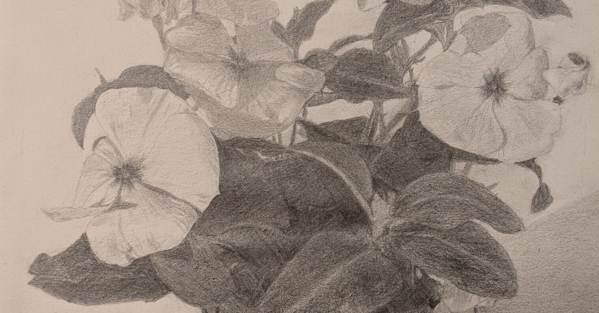 デッサン 花 桜の鉛筆デッサン。7つのステップで花びらを描く手順について