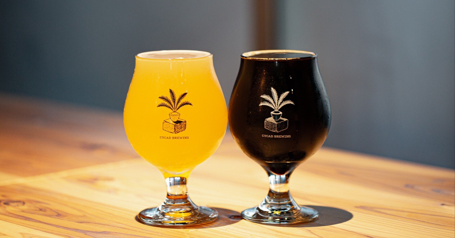 DIG THE CULTURE Vol.29