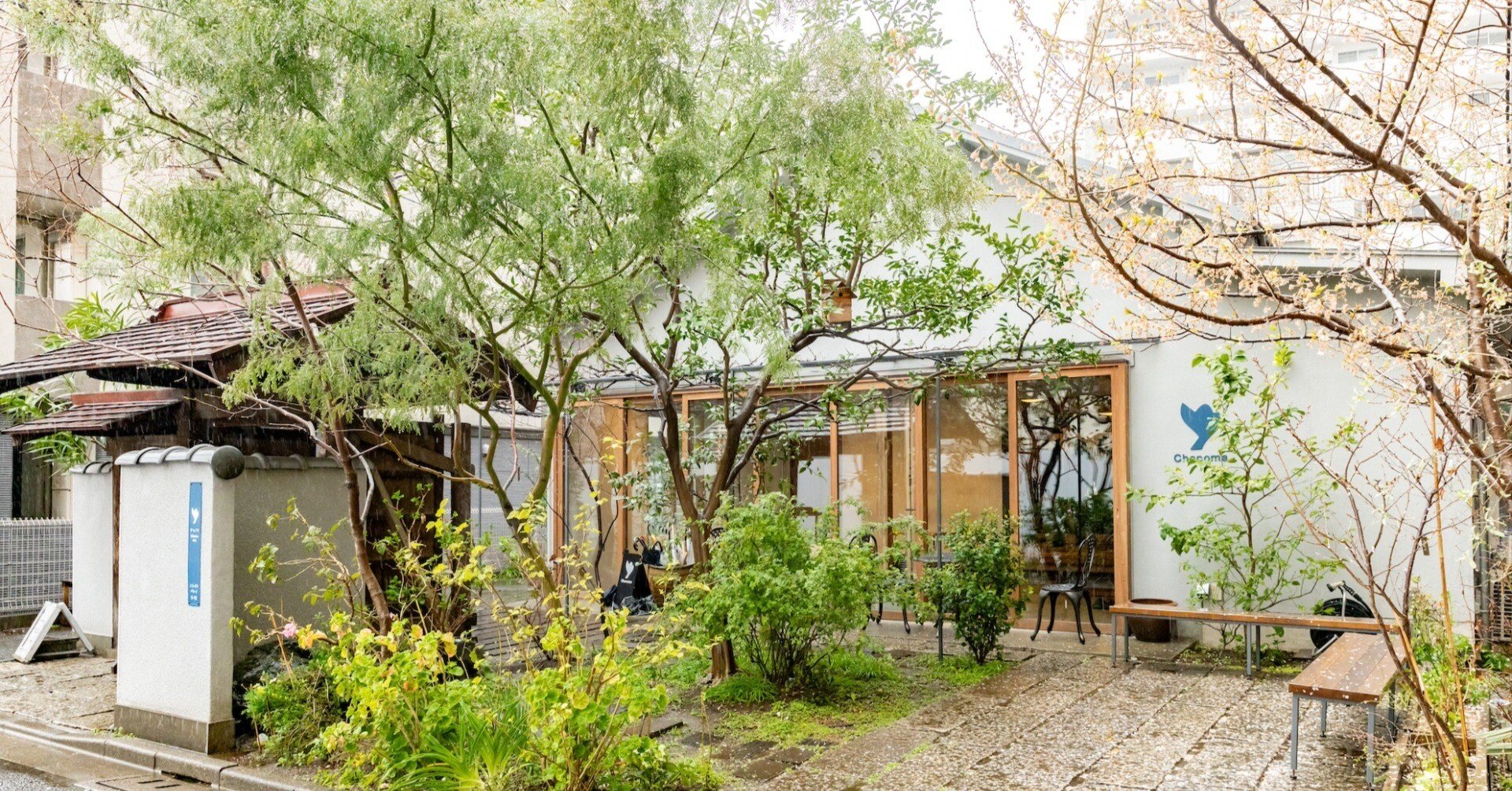 DIG THE CULTURE Vol.26