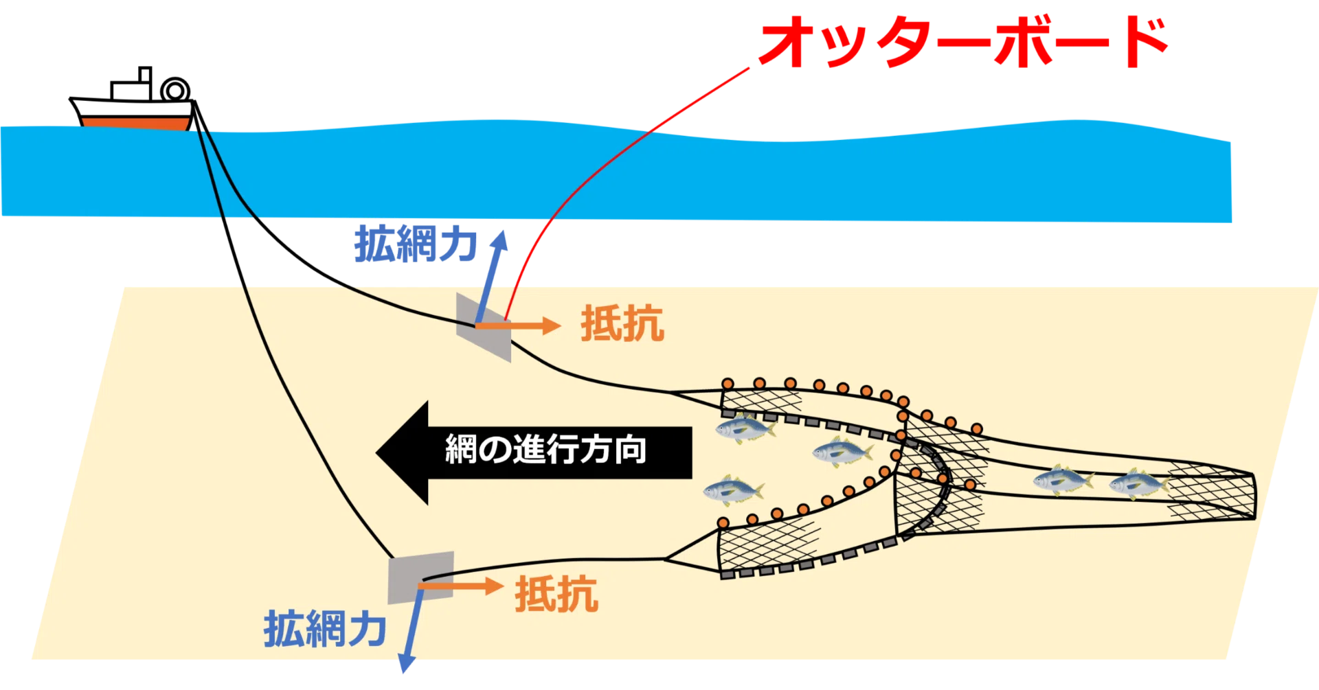 漁具工学という研究分野｜Y. Takahashi